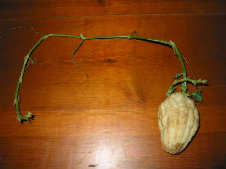 Kezako
