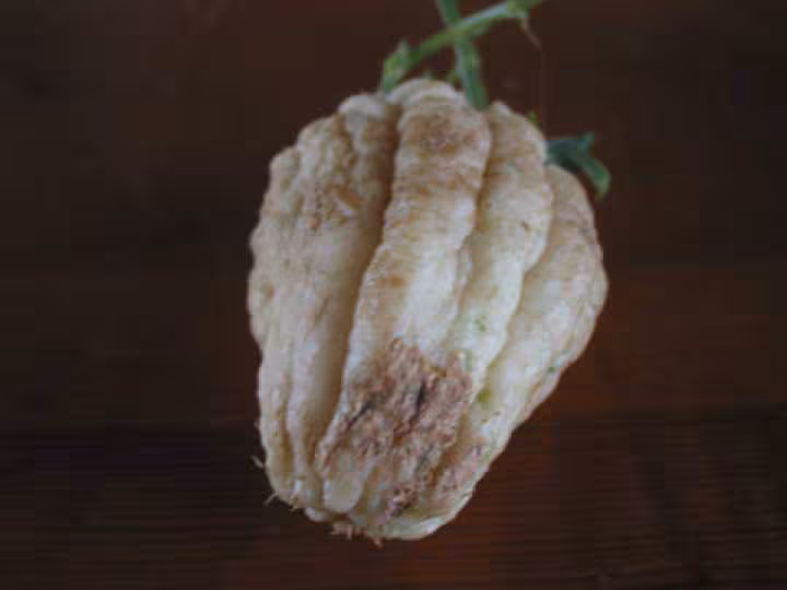Kezako