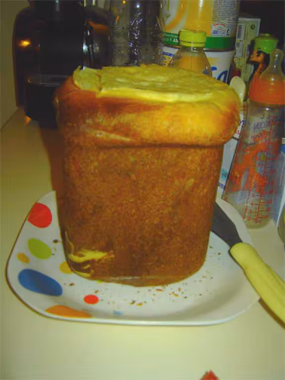 Brioche 2a