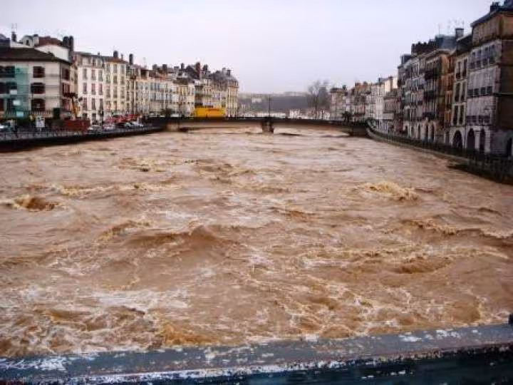 Bayonne 1