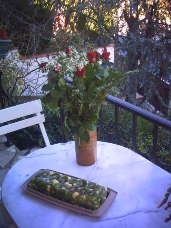 Buche aux kiwis