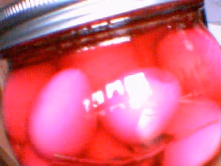 Oeufs de cailles rose