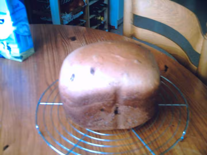 Pain viennois