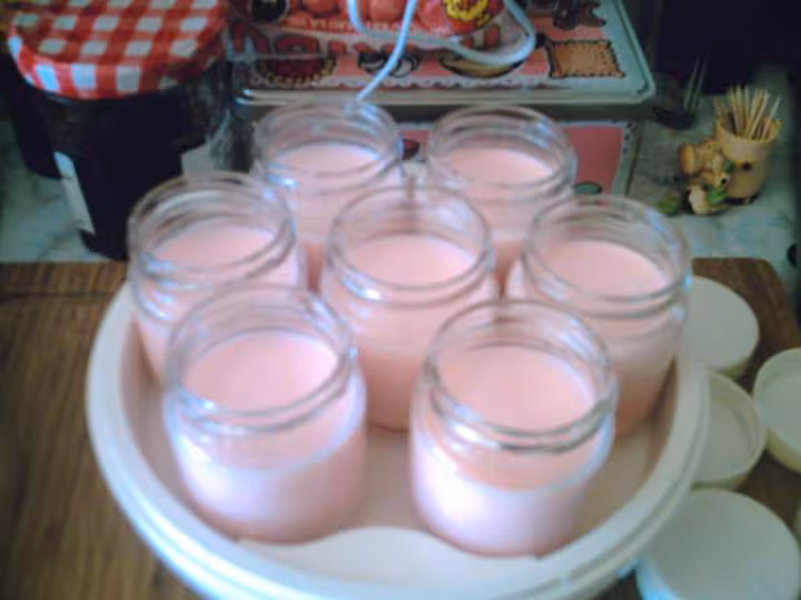 Yaourt fraise tagada