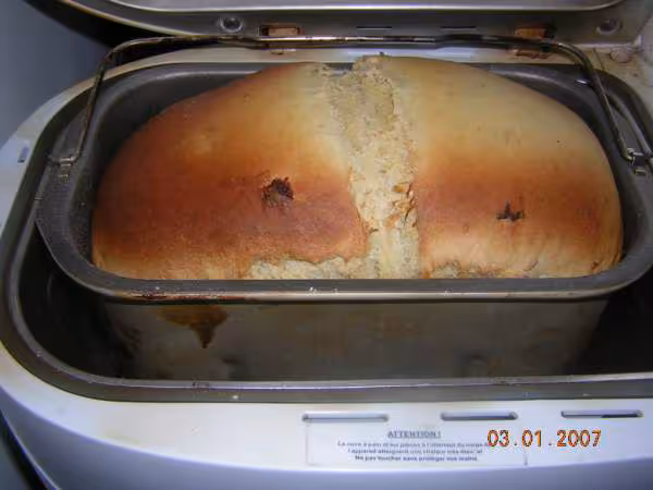 Brioche raisins2