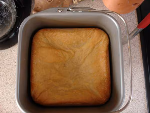 Pain de campagne levure fraiche