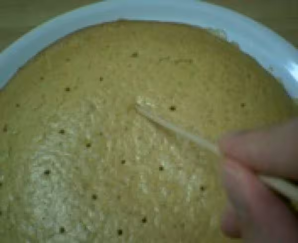 Gateau miel et fleur d oranger 2