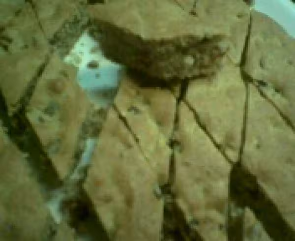 Gateaux dattes noix