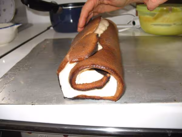 Buche 31 12