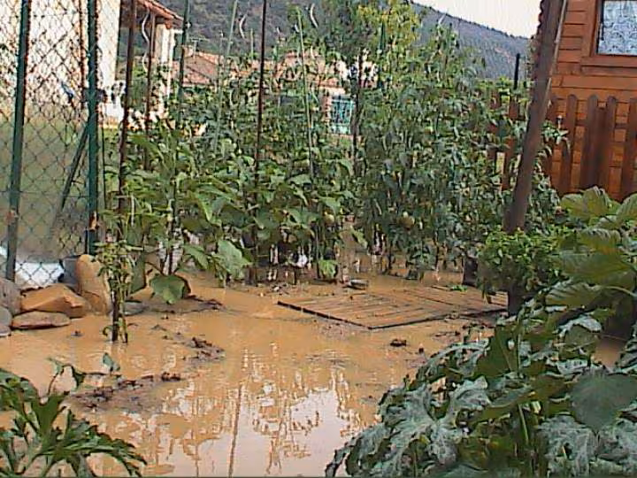 Potager innonde