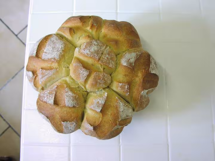 Brioche levain 230207