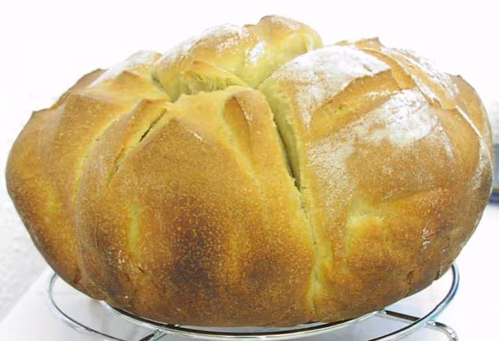 Brioche levain 230207 face