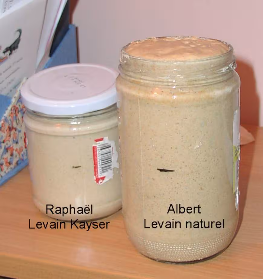 Levain 070907