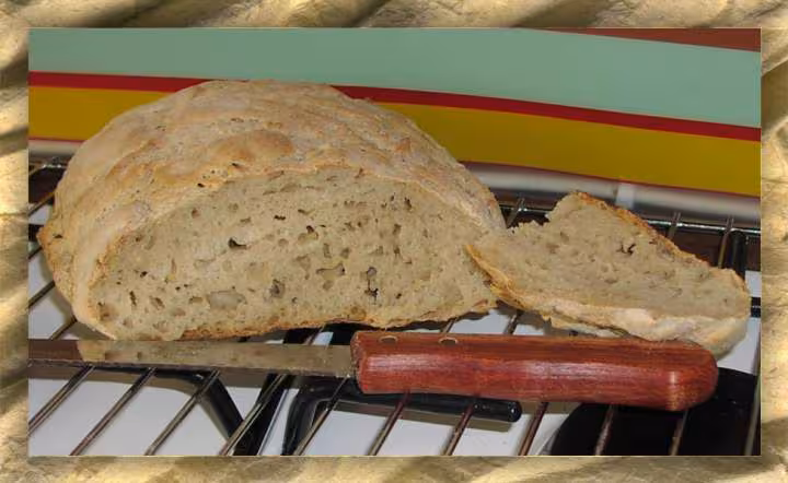 Psp levain
