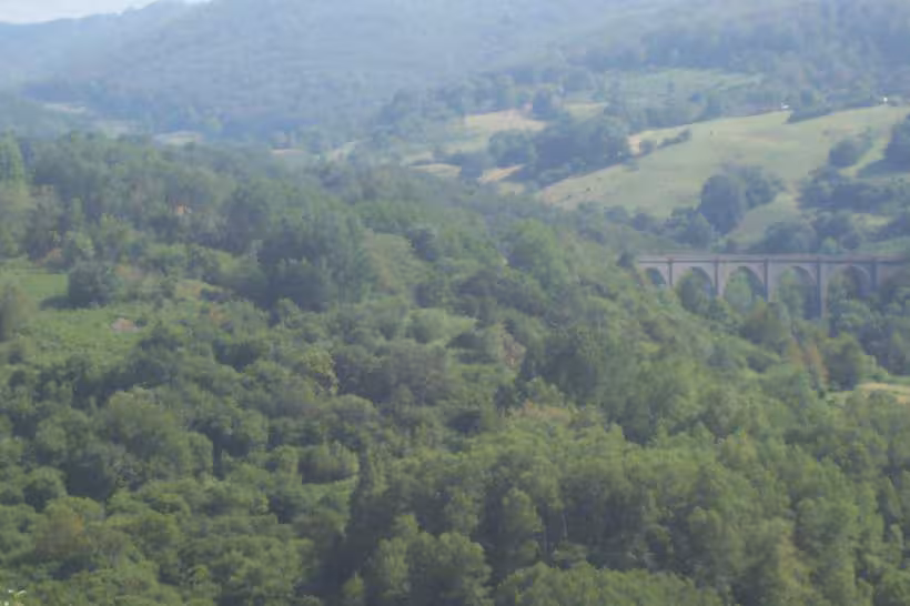 Train de la gentiane