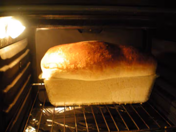 Brioche recette elvire dans le four