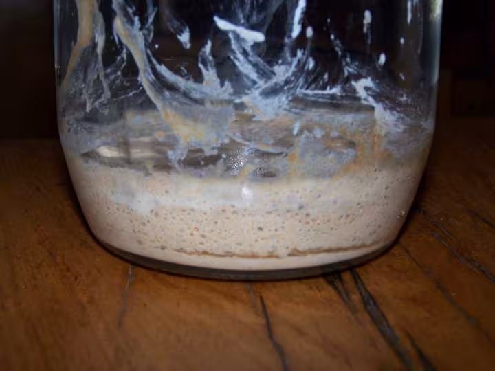 6eme jour de mon levain avant nourrissage