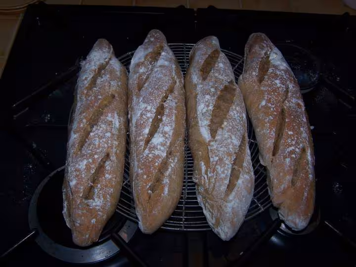 Baguettes monge 170 t65 250 complete 250 t55