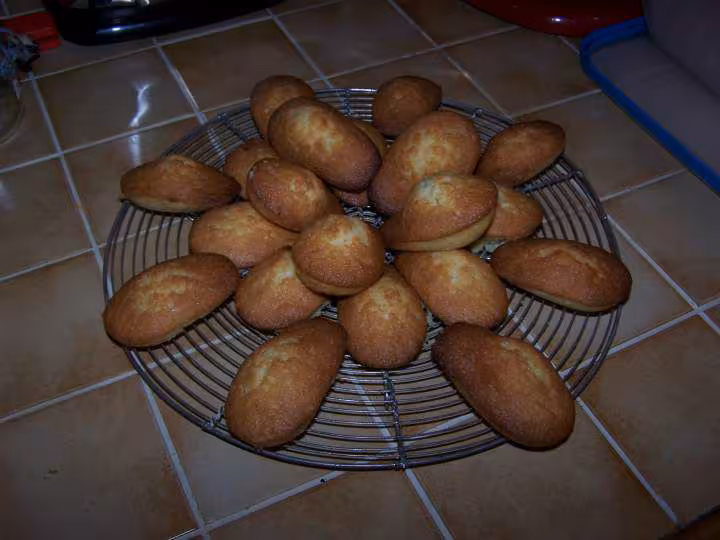 Madeleines