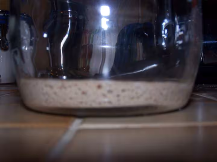 Mon levain au 3eme jour
