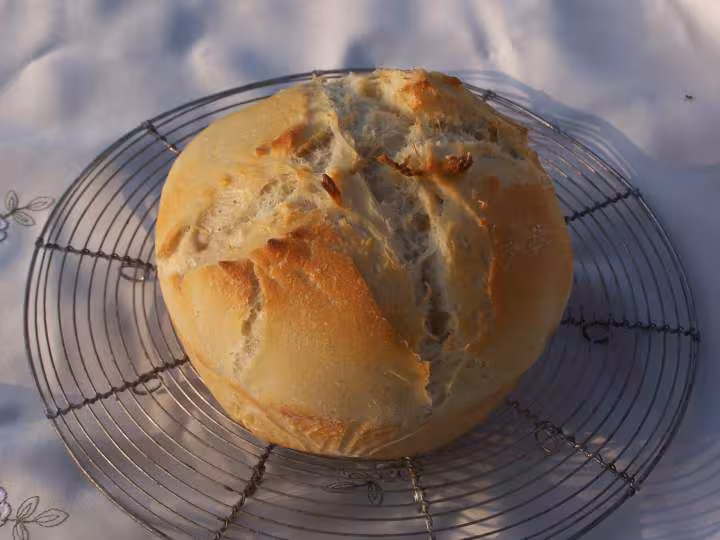 Pain tout levain