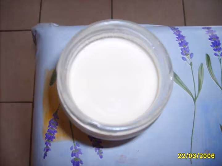 Premier yaourt 0 a la vanille