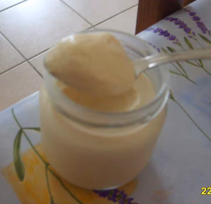 Premier yaourt 0 a la vanille zoom