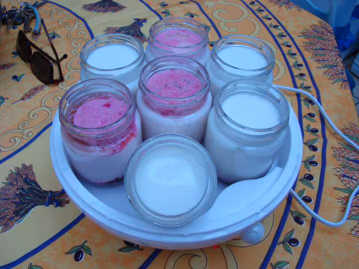 Yaourt maison