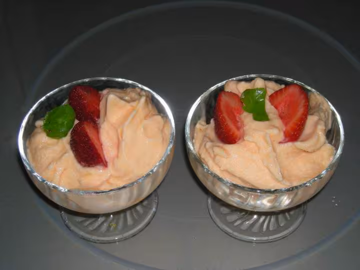 Sorbet melon 100 fruit