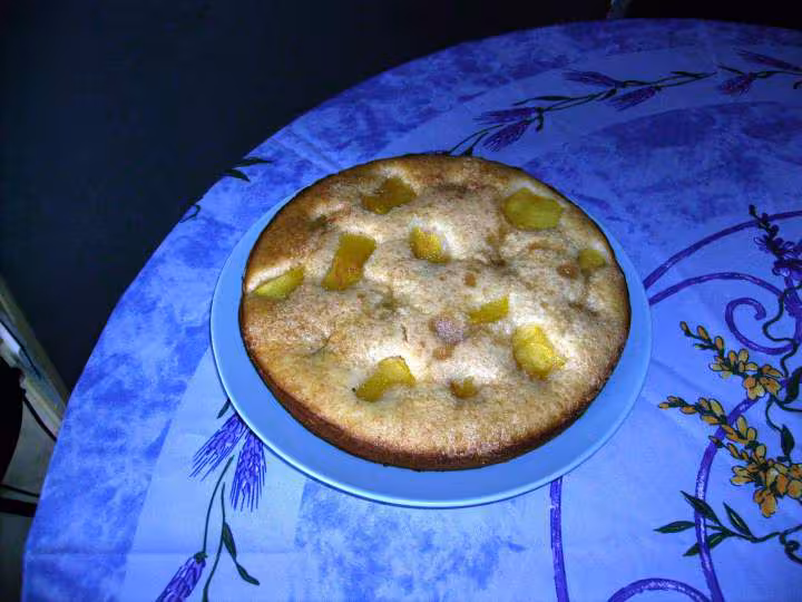 Gateau sans oeuf aux nectarines