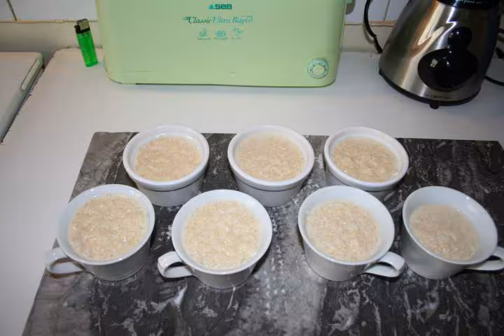 Riz au lait suite