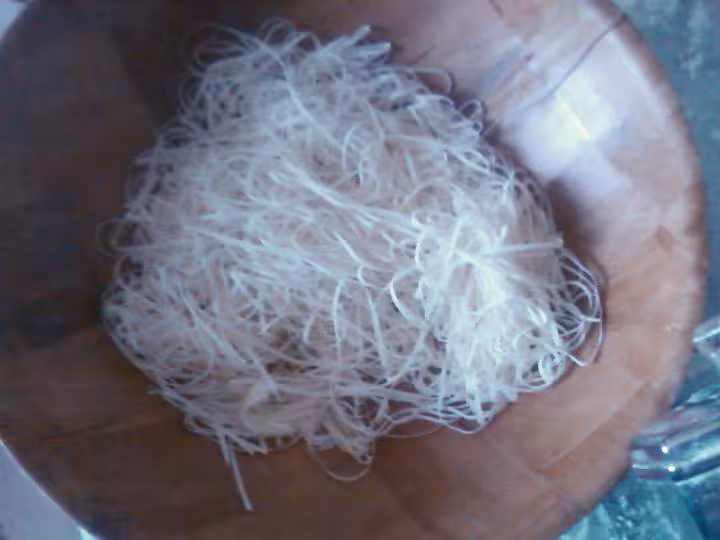 Rechta