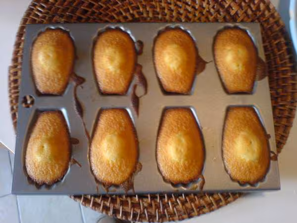 Madeleines