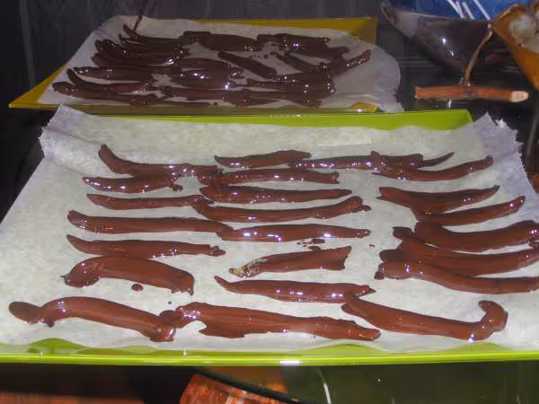 Mes orangettes