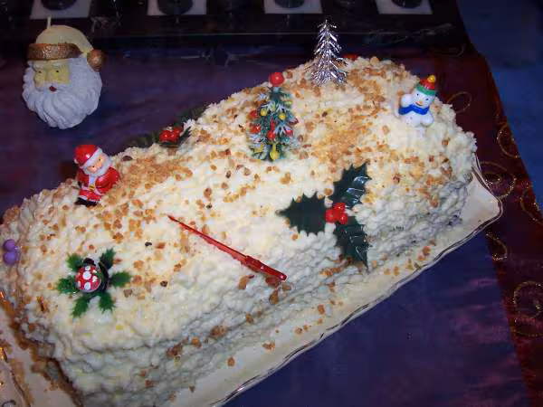 Buche choco noix de coco