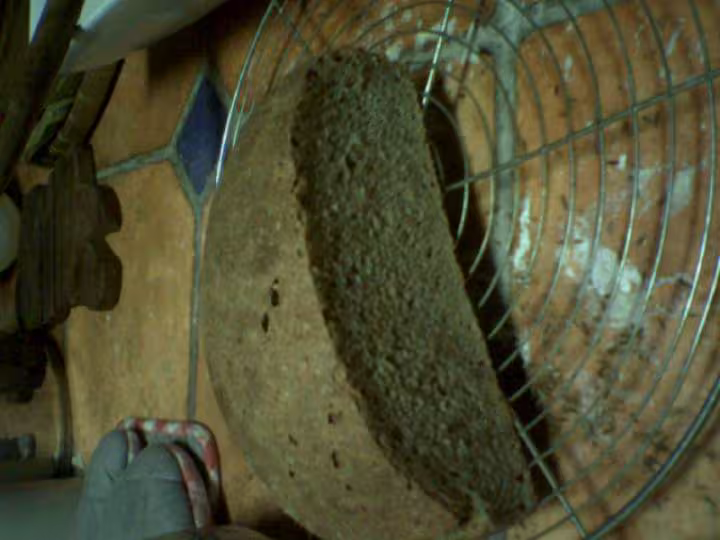 Pain de seigle au levain 26 10 2008