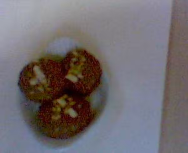 Biscuit au cafe solube