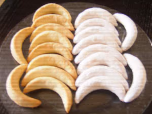 Cornes de gazelles algeriennes amp marocaines