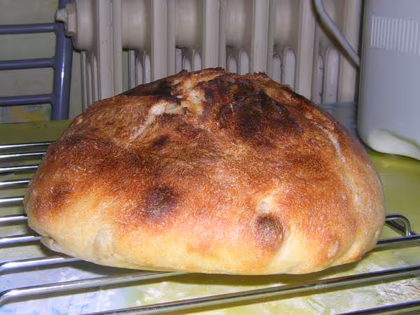 Pain au levain