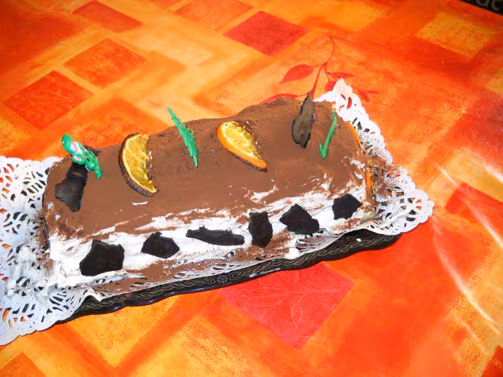 Bis2 buche tiramisu orange chocolat