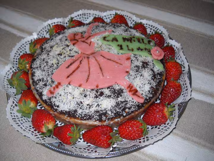 Gateau anniversaire camille