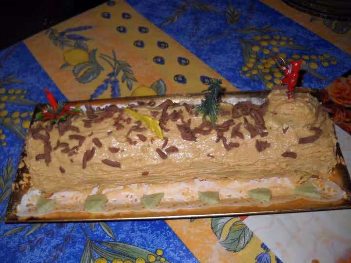 Vue de face buche de noel