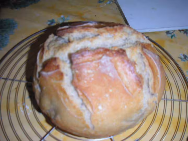 1er pain au levain