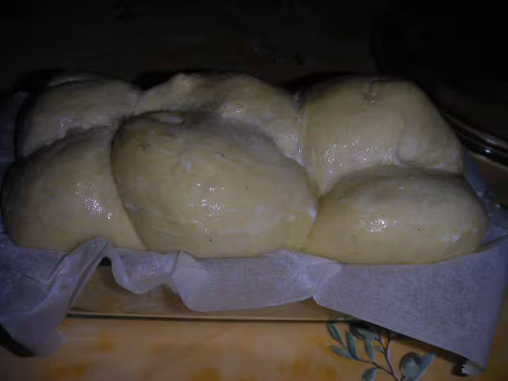 Ma premiere brioche au levain