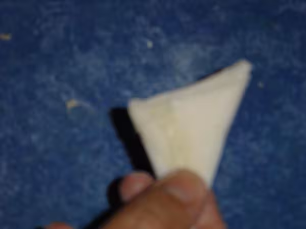 Samoussa fini