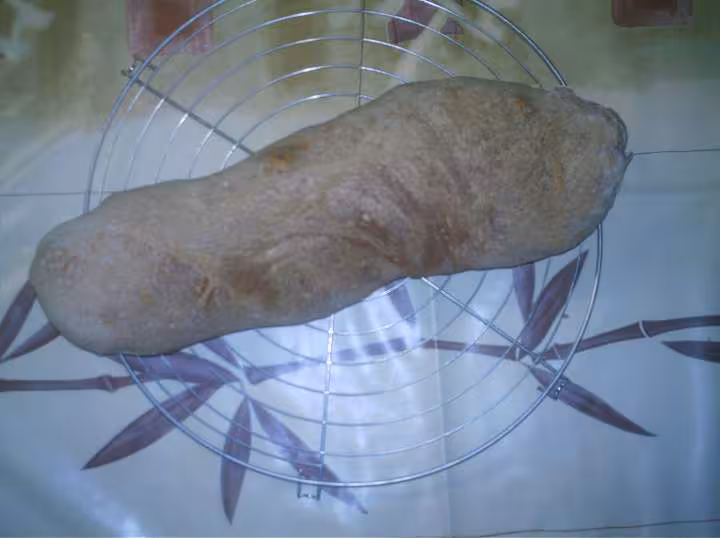 1er pain levain
