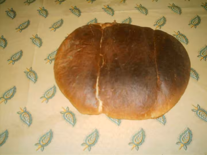 Coquille de noel