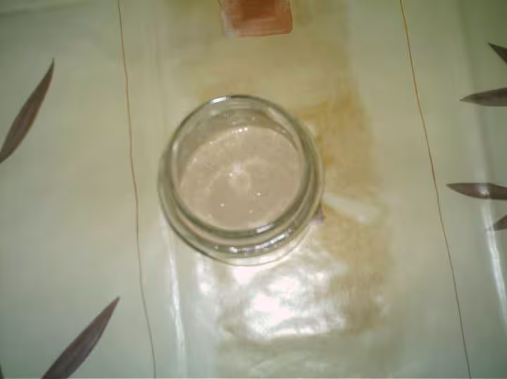 Levain2