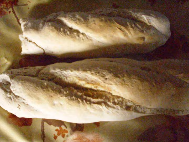 Pain levain vivire