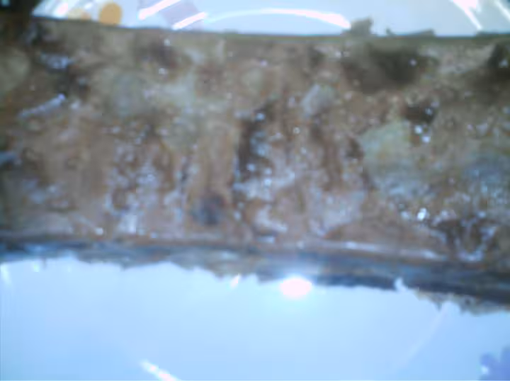 Pomme chocolat